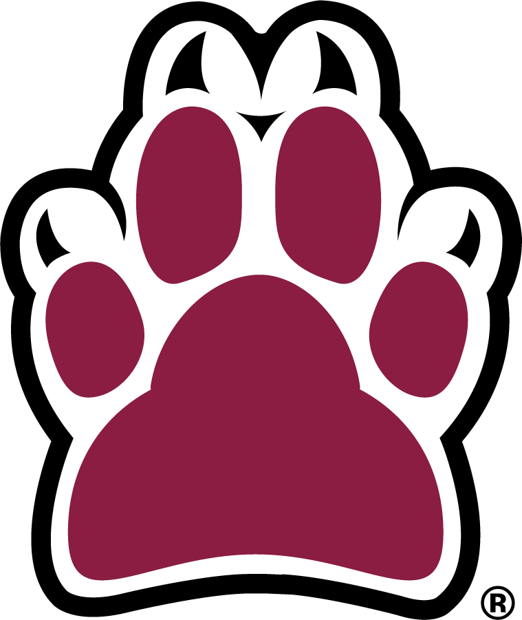 Loyola Ramblers 2003-2012 Secondary Logo diy iron on heat transfer